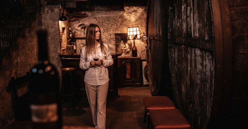 Etna: Urban Winery, Vineyards Walk & Wine Tasting at Sunset - Wine and Food Tasting