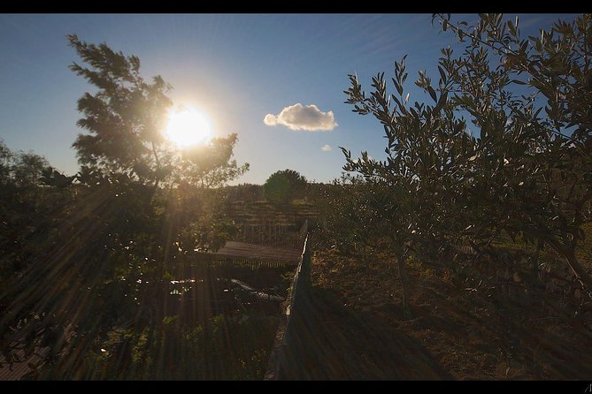 Etna Volcanic Yoga and Meditation Weekend (Private Experience) - Pickup and Dropoff