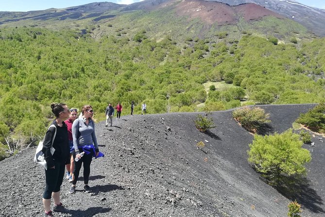 Etna, Wine and Alcantara Tour - From Taormina - Exploring the Alcantara Gorge