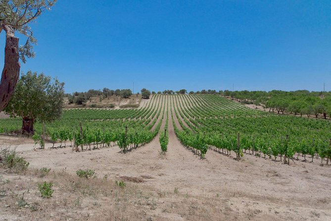Etna Wine and Food Volcanic Weekend Immersion Tour (Private Experience) - Pricing and Guarantees