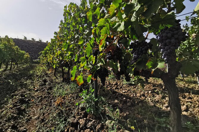 Etna Wine And Taormina From Messina - Inclusions and Logistics