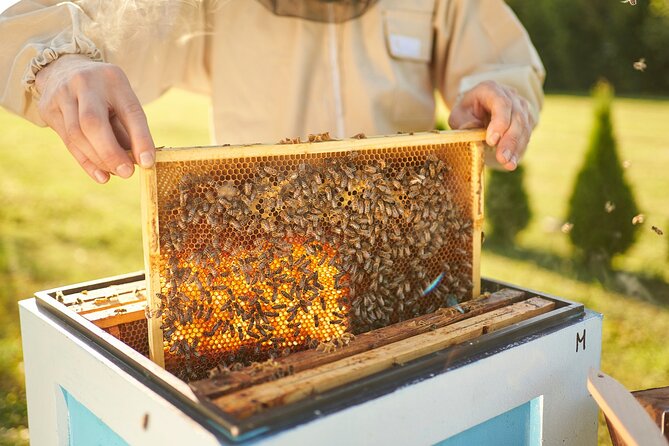 Etna Wine & Food Tasting Plus Honey Laboratory Private Tour - Savoring Local Culinary Delights