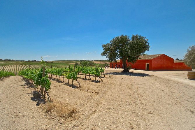 Etna Wine & Food Volcanic Week Grand Tour (Private) - Traditional Sicilian Recipes
