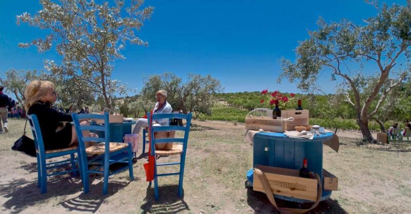Etna & Wine Private Day Tour - Key Points