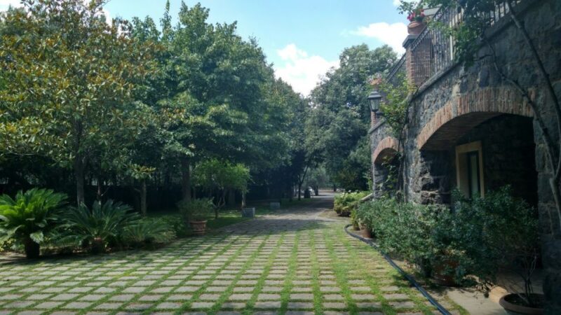 Etna: Wine Tasting and Food Tour - Experience Highlights