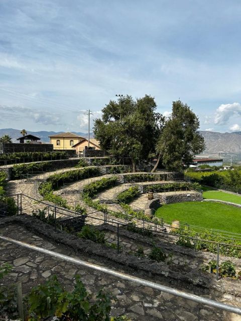 Etna: Wine Tasting and Food Tour - Sicilian Lunch at Winery