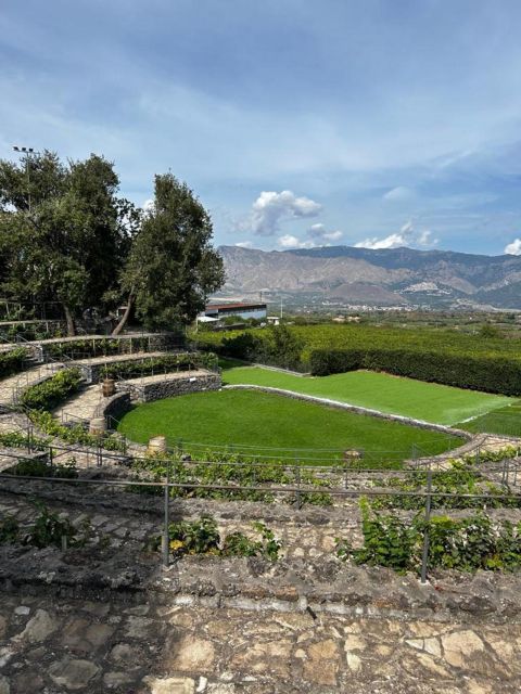 Etna: Wine Tasting and Food Tour - Inclusions