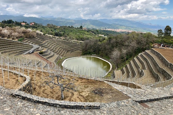 Etna Wine Tour Experience - Key Points