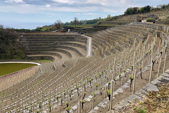 Etna Wine Tour Experience - Meeting Point and Pickup