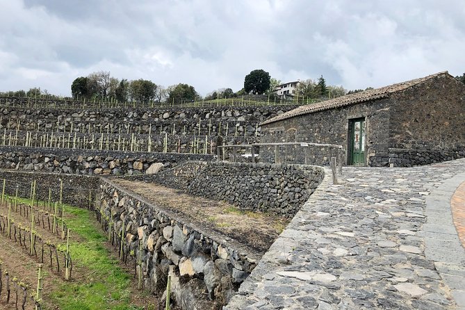 Etna Wine Tour Experience - Recap