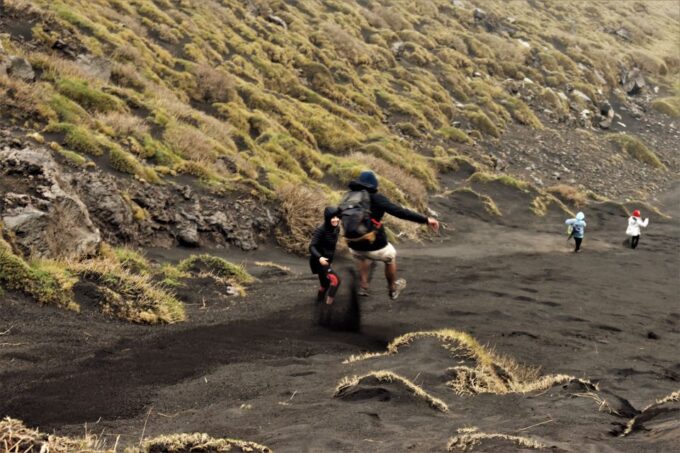 Etnas Hidden Gems - Trek Valle Bove & Lava Tunnel With Gear - Endemic Flora and Fauna