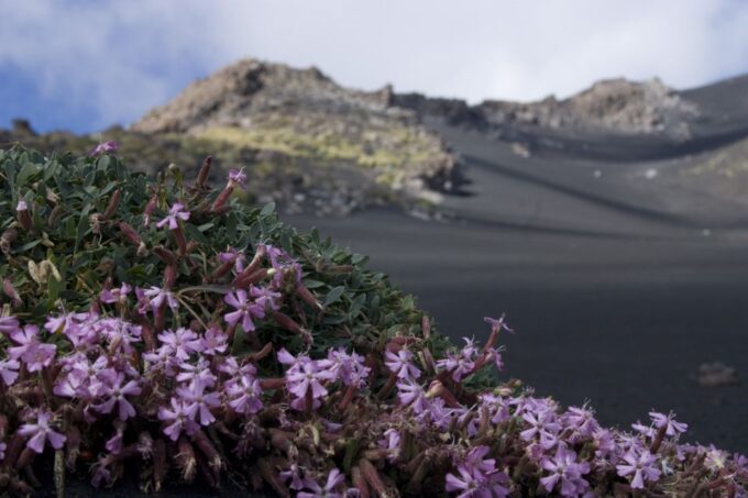 Etnas Hidden Gems - Trek Valle Bove & Lava Tunnel With Gear - Recap