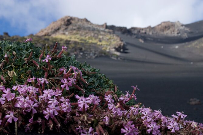 Etnas Hidden Gems - Trek Valle Bove & Lava Tunnel With Gear - Exploring UNESCO World Heritage Sites