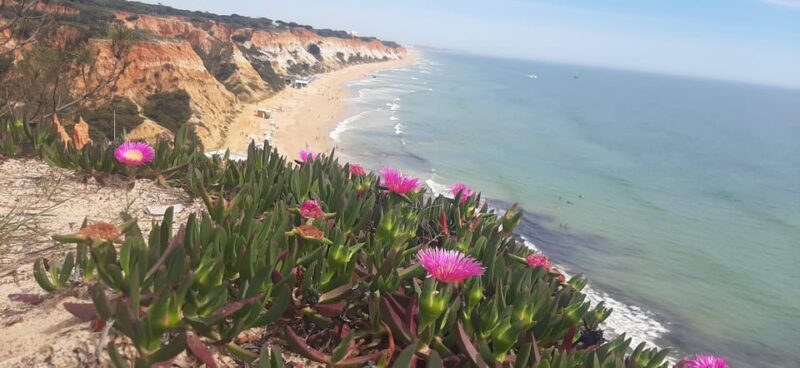 Etuk Tuk Tour Experience in Albufeira - Tour Highlights