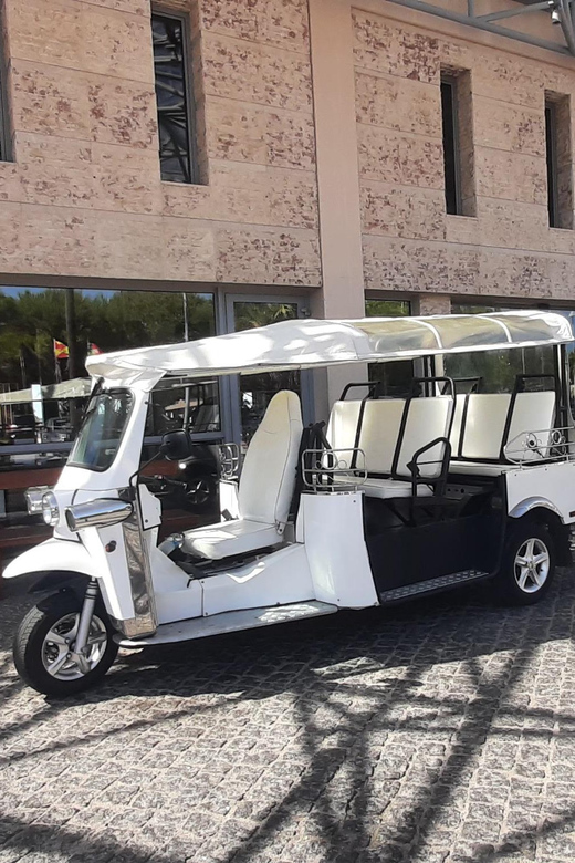 Etuk Tuk Tour Experience in Albufeira - Local Guide Expertise