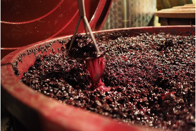Etyek Private Half-Day Wine Tasting Tour From Budapest - Experiencing Private and Relaxed Pace