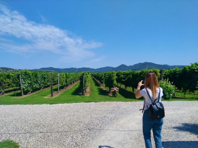 Euganean Hills Guided Wine Tour From Abano Montegrotto - Tour Safety and Weather