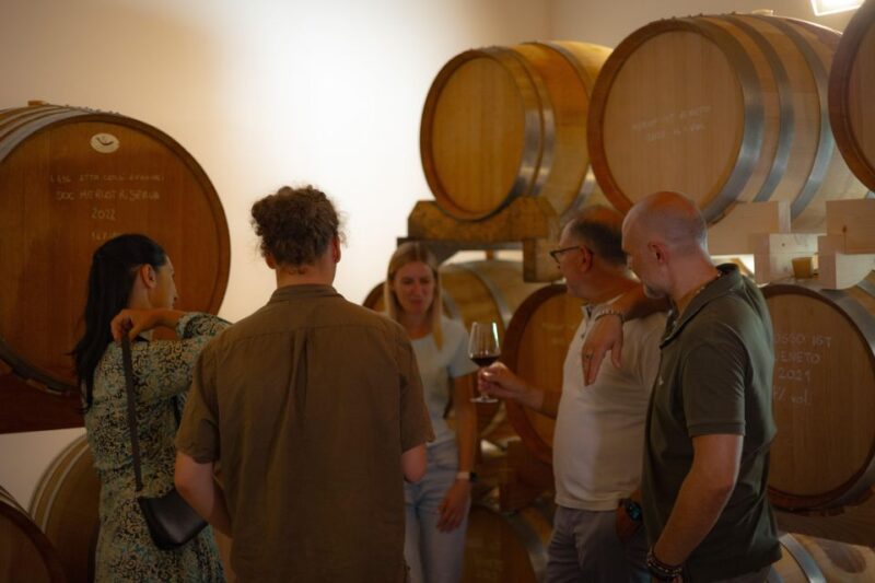 Euganean Hills Guided Wine Tour From Abano Montegrotto - Inclusions and Logistics