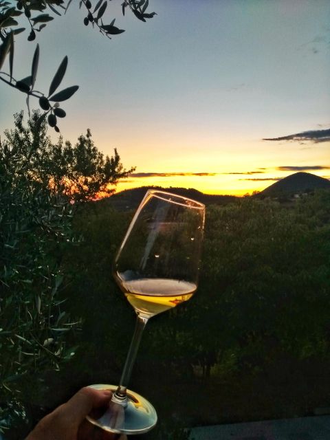 Euganean Hills Guided Wine Tour From Abano Montegrotto - Starting Location and Transportation