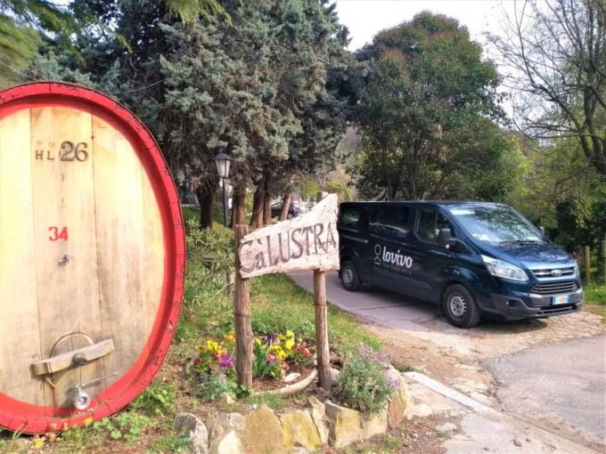 Euganean Hills Guided Wine Tour From Abano Montegrotto - Important Information for Participants