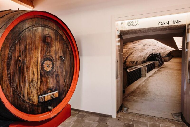 Euganean Hills Guided Wine Tour With Tasting From Padua - Itinerary