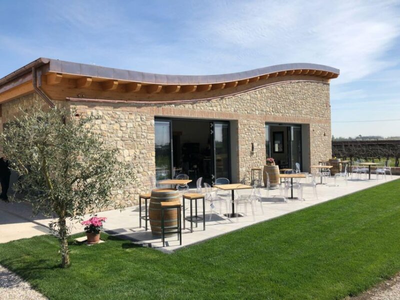 Euganean Hills Guided Wine Tour With Tasting From Padua - Wine Experience