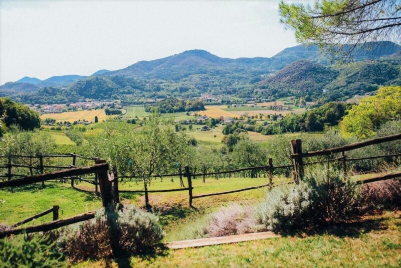 Euganean Hills Guided Wine Tour With Tasting From Padua - Group Size