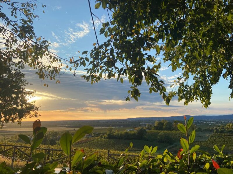 Euganean Hills: Tasting of the Most Significant Wines and Vineyard Tour - Overview of Euganean Hills Wine Region