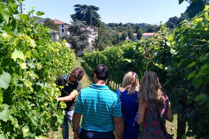 Euganean Hills Wine Tour - About Your Stay
