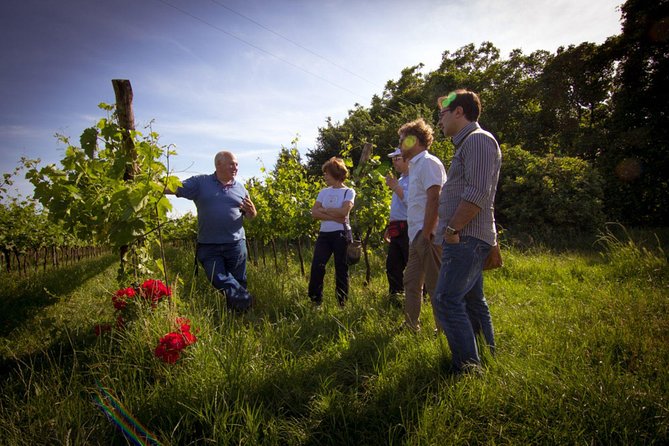 Euganean Hills Wine Tour - Booking Information