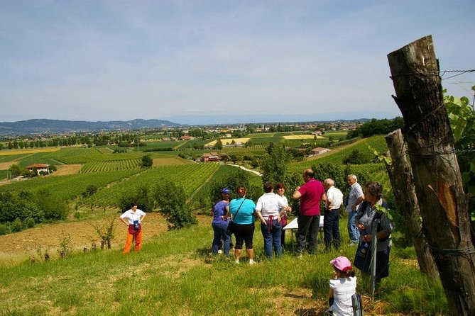 Euganean Hills Wine Tour - Tour Highlights