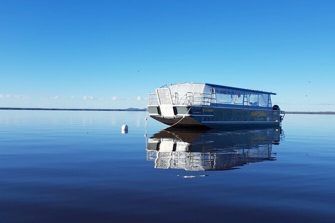 Eumundi Markets and Noosa Everglades Tour with Eco Safari - The Sum Up