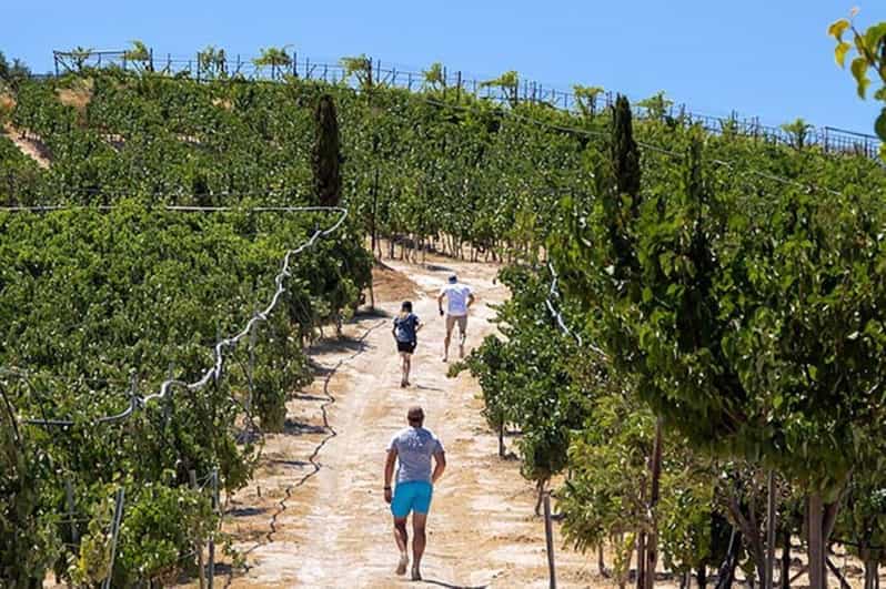 EUPHORIA Wine Tour & Tasting at Douloufakis Vineyards - Location and Accessibility