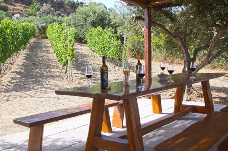 EUPHORIA Wine Tour & Tasting at Douloufakis Vineyards - Experience Itinerary