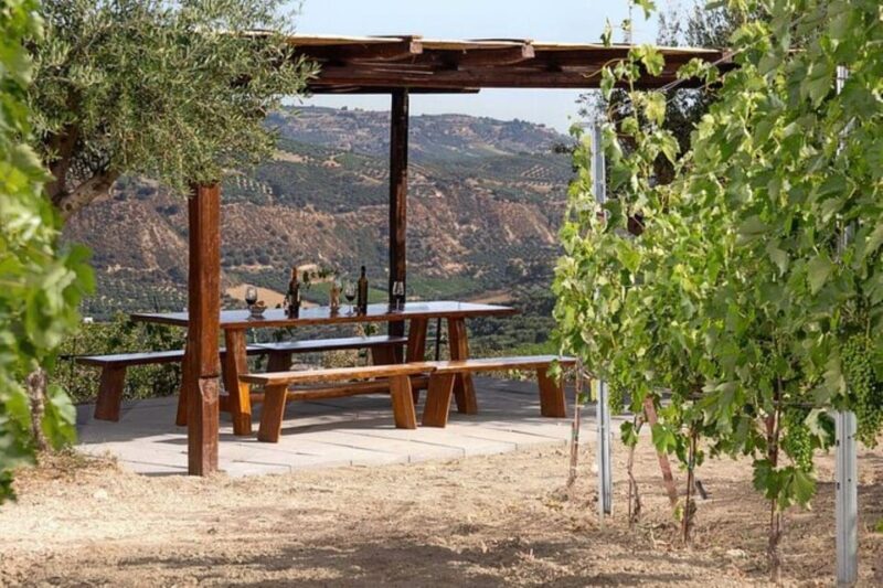 EUPHORIA Wine Tour & Tasting at Douloufakis Vineyards - Recap