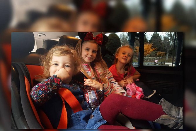 Euro Disney - CDG (One Way) Private Shuttle Transfer - Pickup and Drop-off Details