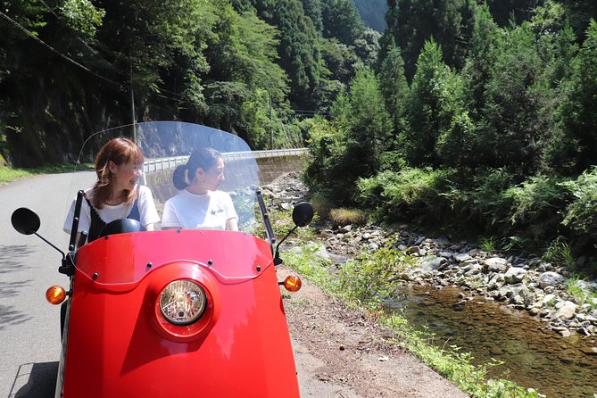 EV Car Rental Basket Group Local Tour & Guide - Transportation Options and Accessibility