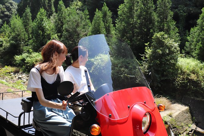 EV Car Rental Basket Group Local Tour & Guide - Inclusions and Pricing Details