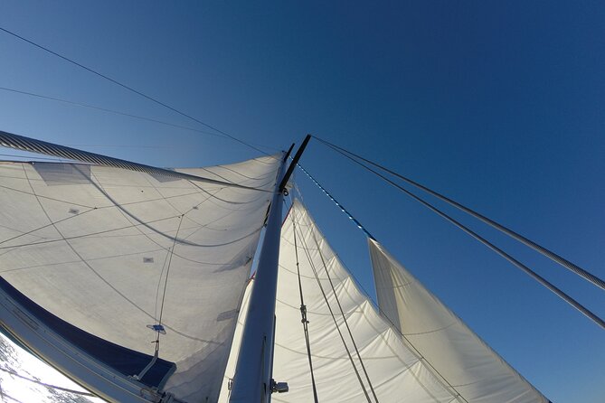 Evasion at Sea, Private Experience for Your Tribe. Morning - Customer Reviews