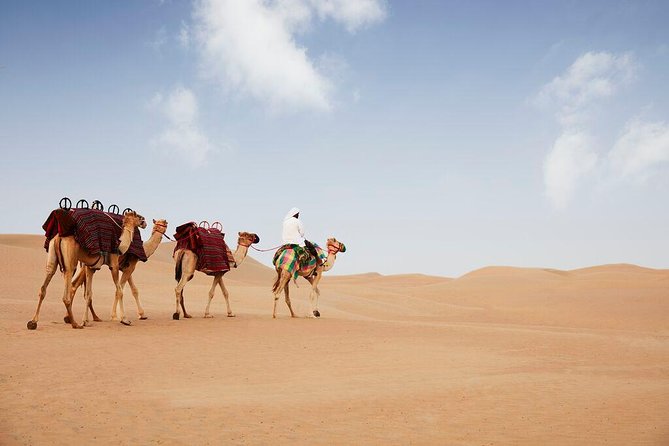 Evening Abu Dhabi Desert Safari & BBQ Dinner- Standard Tour - Customer Feedback