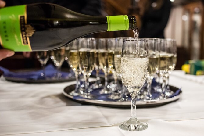 Evening Cruise on the Danube With Optional Drinks - Whats Included and Not Included