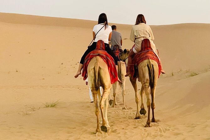 Evening Desert Safari Abu Dhabi With BBQ Dinner & Shows - Weather and Traveler Requirements