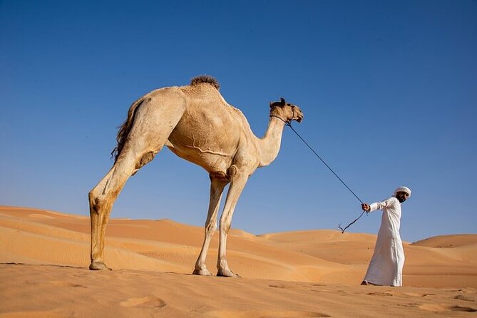 Evening Desert Safari Abu Dhabi With BBQ Dinner & Shows - Reviews and Ratings