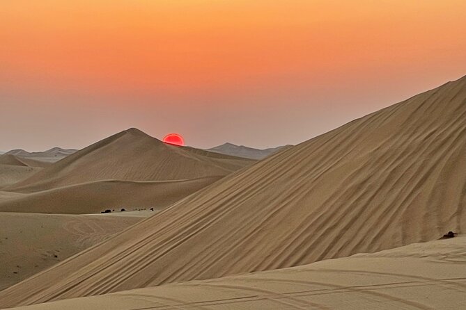 Evening Desert Safari Abu Dhabi With BBQ Dinner & Shows - Belly Dance Show