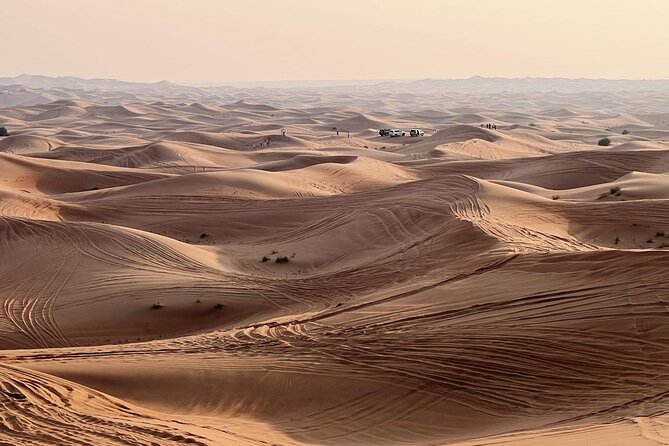 Evening Desert Safari Abu Dhabi With Dinner - Reviews and Pricing