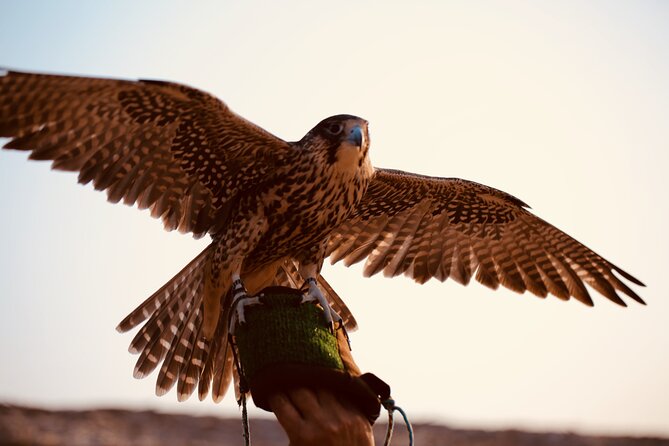 Evening Desert Safari Abu Dhabi With Hot BBQ Dinner - Sumptuous Hot BBQ Dinner