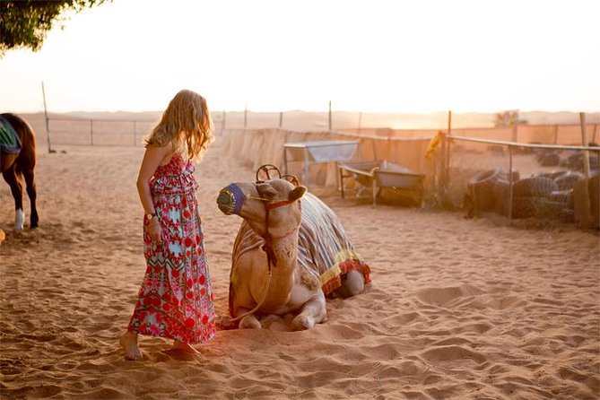 Evening Desert Safari Dubai With BBQ Dinner (Pick up by Bus) - Key Points