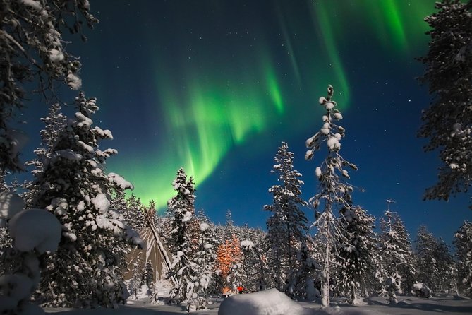 Evening Escape - Snowmobile Safari and Campfire in Rovaniemi - Safety Briefing and Instructions