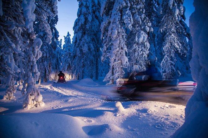 Evening Escape - Snowmobile Safari and Campfire in Rovaniemi - Additional Important Information