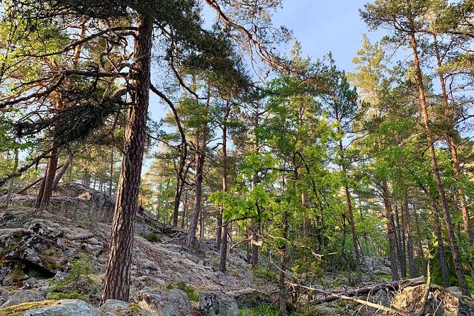 Evening Hike in Tyresta National Park - Health and Safety